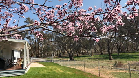Rosewood Cottage - Accommodation Rockhampton 3