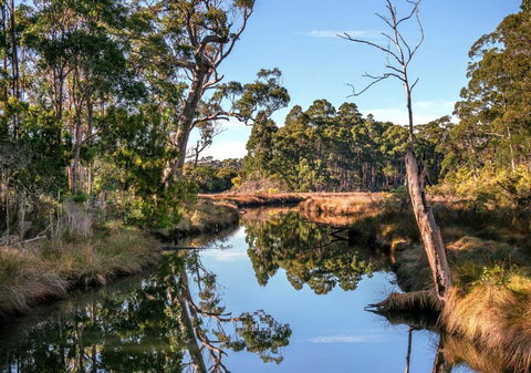 Saintys Creek Cottage - Accommodation Rockhampton 3