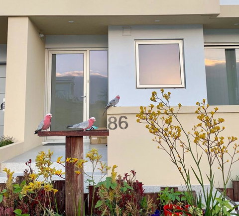 Sorrento Bluewater Apartment - Accommodation Rockhampton 2
