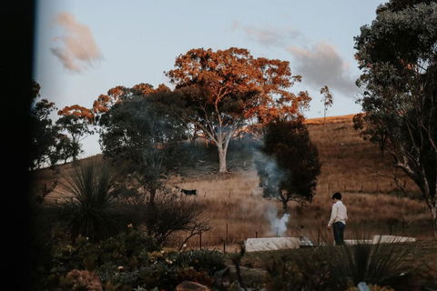 Wandarra Homestead, Mudgee - Accommodation Rockhampton 3
