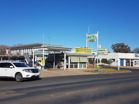 Wattle Tree Motel - Accommodation Rockhampton 1