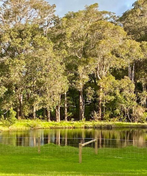 Wildwood Retreat A Luxury Vineyard Escape - Accommodation Rockhampton 1