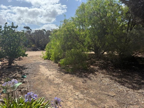 Woody House - Accommodation Rockhampton 2