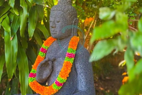Zenhouse: 6-BR Balinese Tropical Oasis In Nightcliff Central - Accommodation Rockhampton 3