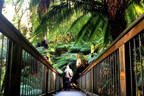 Small-Group Great Ocean Road And Twelve Apostles Full-Day Tour - Accommodation Rockhampton 1
