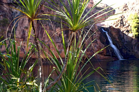3-Day Kakadu 4WD Camping Safari From Darwin - Accommodation Rockhampton 2
