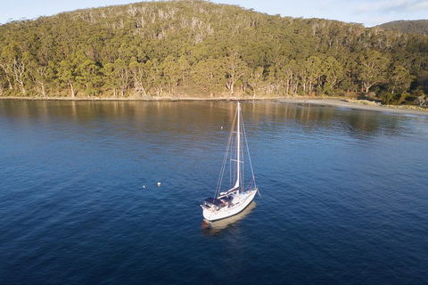 Twilight Sail Bruny Island - Accommodation Rockhampton 3