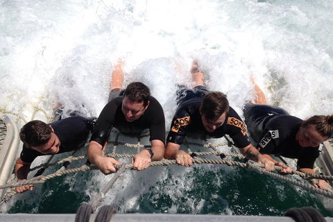 Cruise In Moreton Bay Marine Park And Moreton Island - Accommodation Rockhampton 0