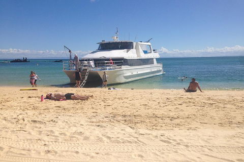 Cruise In Moreton Bay Marine Park And Moreton Island - Accommodation Rockhampton 4