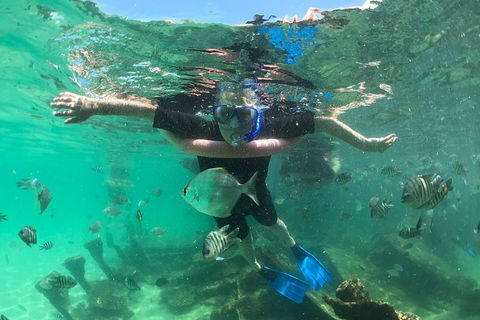 Cruise In Moreton Bay Marine Park And Moreton Island - Accommodation Rockhampton 5