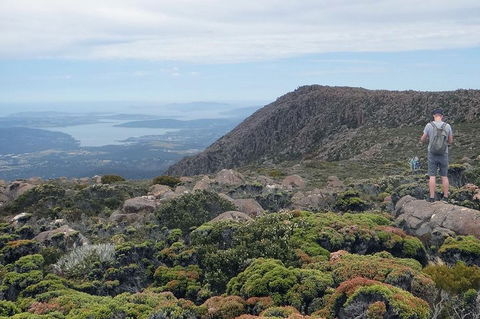 Kunanyi/Mt Wellington Explorer Bus - One Way Tour - Accommodation Rockhampton 0