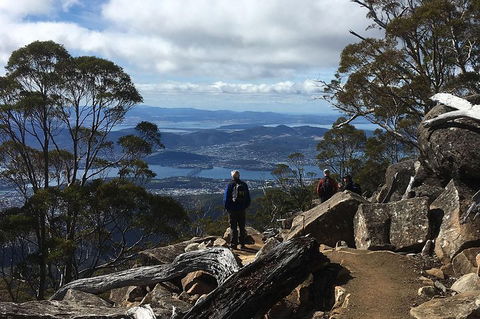 Kunanyi/Mt Wellington Explorer Bus - One Way Tour - Accommodation Rockhampton 2