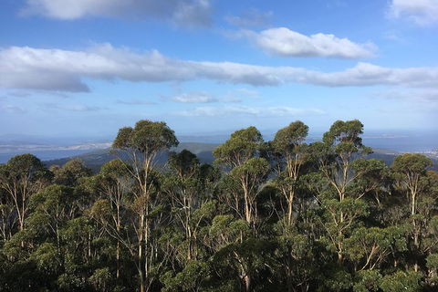 Kunanyi/Mt Wellington Explorer Bus - One Way Tour - Accommodation Rockhampton 5
