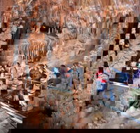 Private Tour Jenolan Caves  Blue Mountains in a day - Accommodation Rockhampton
