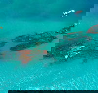 Private Tangalooma Wrecks Tour