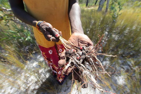 Gay-Wu Woman's 5 Day Yolngu Homeland Tour - Accommodation Rockhampton 0