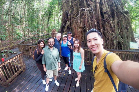 Cairns 4WD Waterfall And Rainforest Tour Including Kuranda Scenic Railway - Accommodation Rockhampton 0