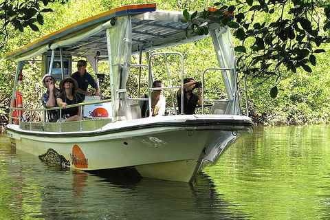 3-Day Best Of Cairns Combo: The Daintree Rainforest, Great Barrier Reef, And Kuranda - Accommodation Rockhampton 4