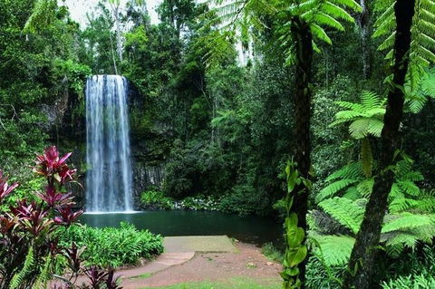 Paronella Park And Millaa Millaa Falls Full-day Tour From Cairns - Accommodation Rockhampton 3