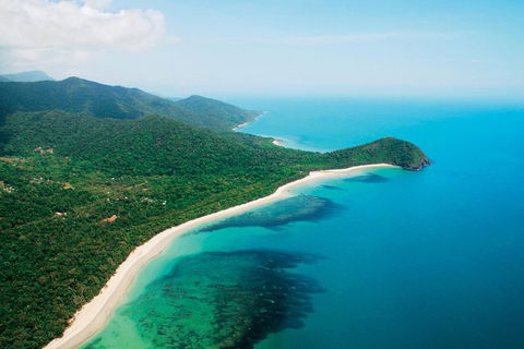 Cape Tribulation, Mossman Gorge, And Daintree Rainforest Premium Day Tour - Accommodation Rockhampton 2