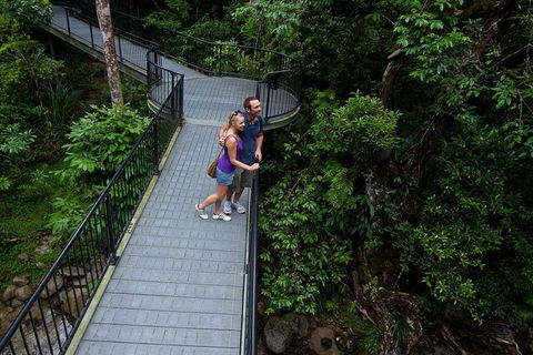 Cape Tribulation, Mossman Gorge, And Daintree Rainforest Premium Day Tour - Accommodation Rockhampton 3