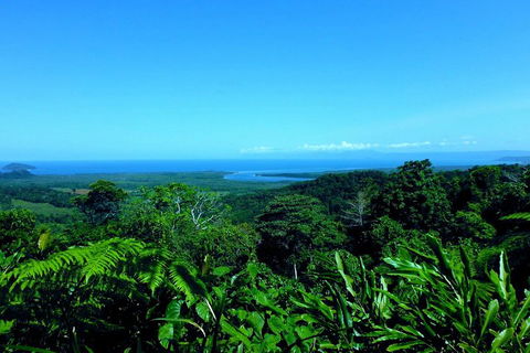 Cape Tribulation, Mossman Gorge, And Daintree Rainforest Premium Day Tour - Accommodation Rockhampton 5