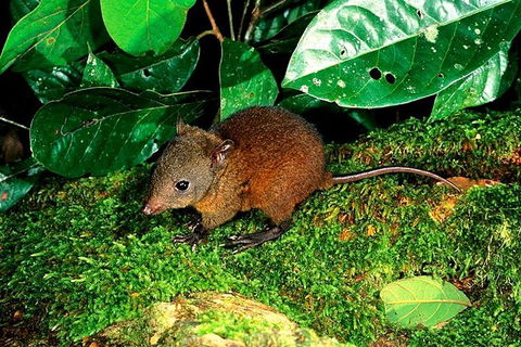 3-Day Small-Group Tour Of North Queensland With Pick Up - Accommodation Rockhampton 0