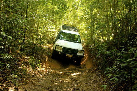 Cairns National Park Rainforest And Waterfall Small Group Tour Shore Excursion - Accommodation Rockhampton 0