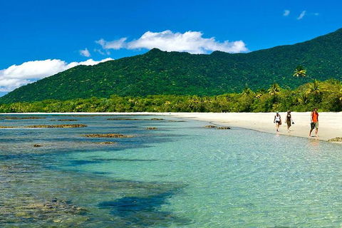 Private Daintree National Park Day Tour From Cairns Including Cape Tribulation And Mossman Gorge - Accommodation Rockhampton 0