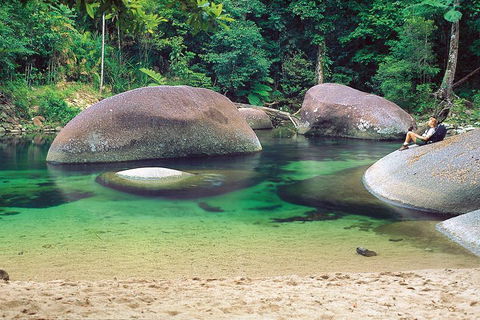 Private Daintree National Park Day Tour From Cairns Including Cape Tribulation And Mossman Gorge - Accommodation Rockhampton 4