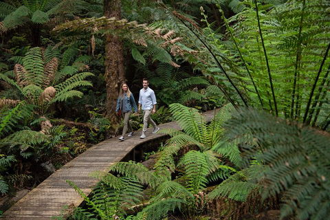 2 Day Exclusively Private Tour Of Phillip Island & The Great Ocean Road - Accommodation Rockhampton 5