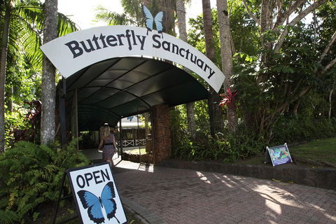 Kuranda Day Trip From Port Douglas Upgrade To Skyrail & Scenic Train Available - Accommodation Rockhampton 0