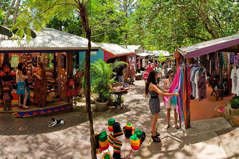 Kuranda Day Trip From Port Douglas Upgrade To Skyrail & Scenic Train Available - Accommodation Rockhampton 2