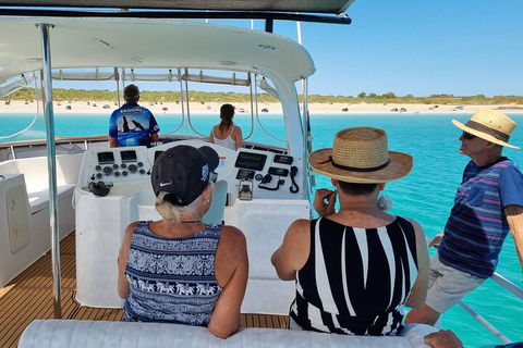 Snubfin Dolphin Eco Cruise From Broome - Accommodation Rockhampton 5