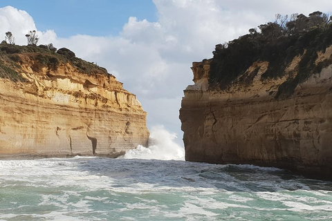 12 Apostles Tour From Warrnambool - Accommodation Rockhampton 2