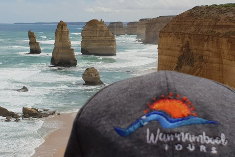 12 Apostles Tour From Warrnambool - Accommodation Rockhampton 4