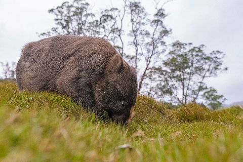 3-Day Cradle Mountain Photography Workshop - Accommodation Rockhampton 0