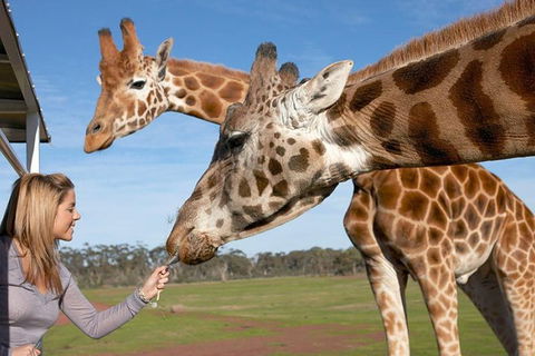 Melbourne City Card (2 Days): Visit Unlimited Attractions! - Accommodation Rockhampton 1