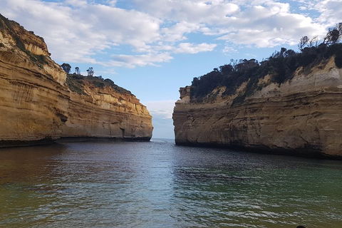 Luxury Private Great Ocean Road Tour Up To 11 People - Entire Vehicle - Accommodation Rockhampton 2