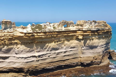 Luxury Private Great Ocean Road Tour Up To 11 People - Entire Vehicle - Accommodation Rockhampton 4
