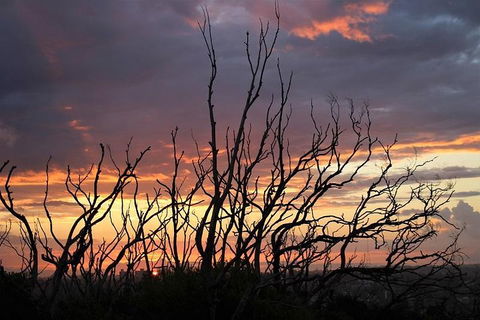 Sydney Harbour, Northern Beaches And National Park - Accommodation Rockhampton 4