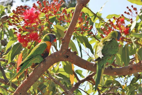 Sydney Harbour, Northern Beaches And National Park - Accommodation Rockhampton 5