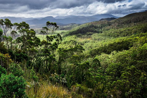 3-Day Tour To The Falls, Mountains, Lake & More Of West Coast Tasmania - Accommodation Rockhampton 0