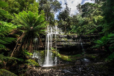 3-Day Tour To The Falls, Mountains, Lake & More Of West Coast Tasmania - Accommodation Rockhampton 4