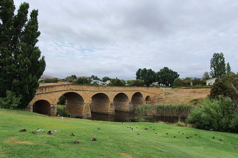 Port Arthur, Richmond And Tasman Peninsula Day Trip From Hobart - Accommodation Rockhampton 3