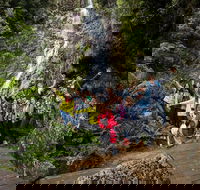 5-Day Lap of Tasmania Tour from Hobart flexible ticket - Accommodation Rockhampton