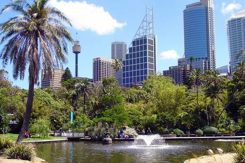 Private Sydney Half Day Tour Including Sydney Opera House And Bondi Beach - Accommodation Rockhampton 4