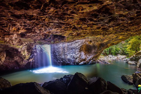 Full-day Springbrook National Park Tour From The Gold Coast - Accommodation Rockhampton 3