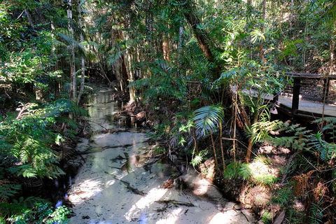 Fraser Island 4WD Tour From Rainbow Beach - Accommodation Rockhampton 0