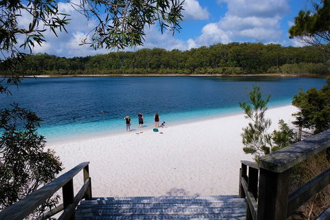 Fraser Island 4WD Tour From Rainbow Beach - Accommodation Rockhampton 3